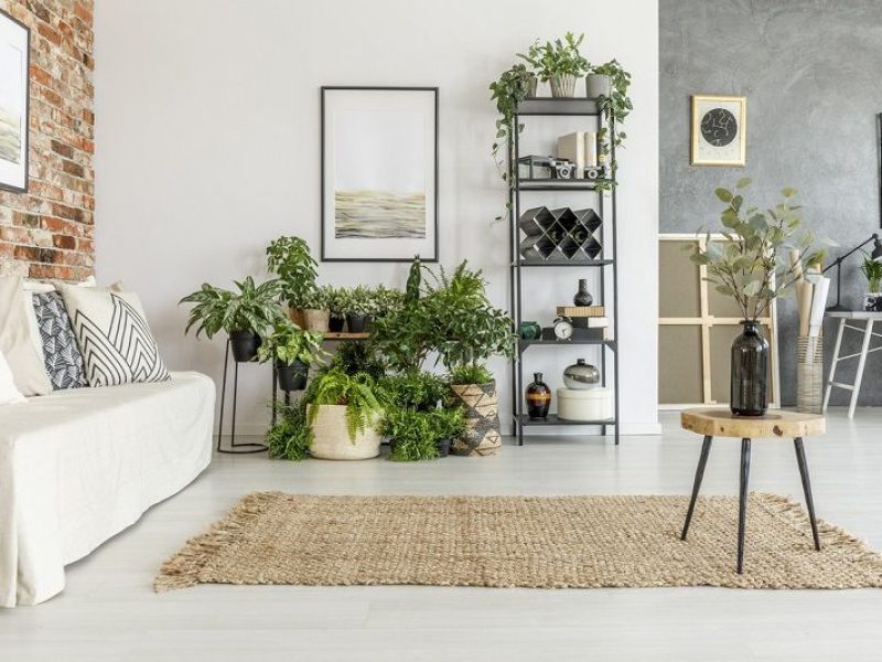 room-filled-with-artwork-and-plants